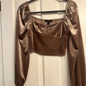 Brown Long Sleeve Velvet Top